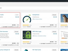 提升Wordpress网站访问速度神器——WP Super Cache插件具体设置详解