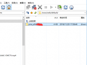 WDCP:将/www/web/default 下的默认文件夹删除导致phpmyadmin无法访问 解决办法