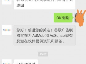 幸运之神的眷顾——Google Adsense终于通过